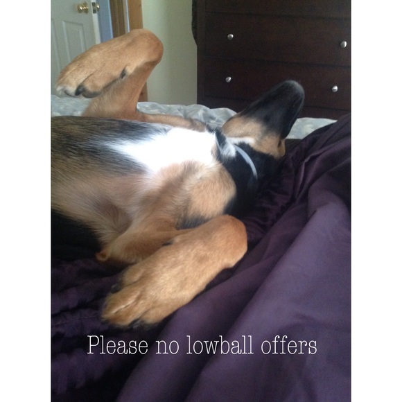 Meet your Posher, L  โค๏ธPosh Ambassador๐ - Picture 2 of 5